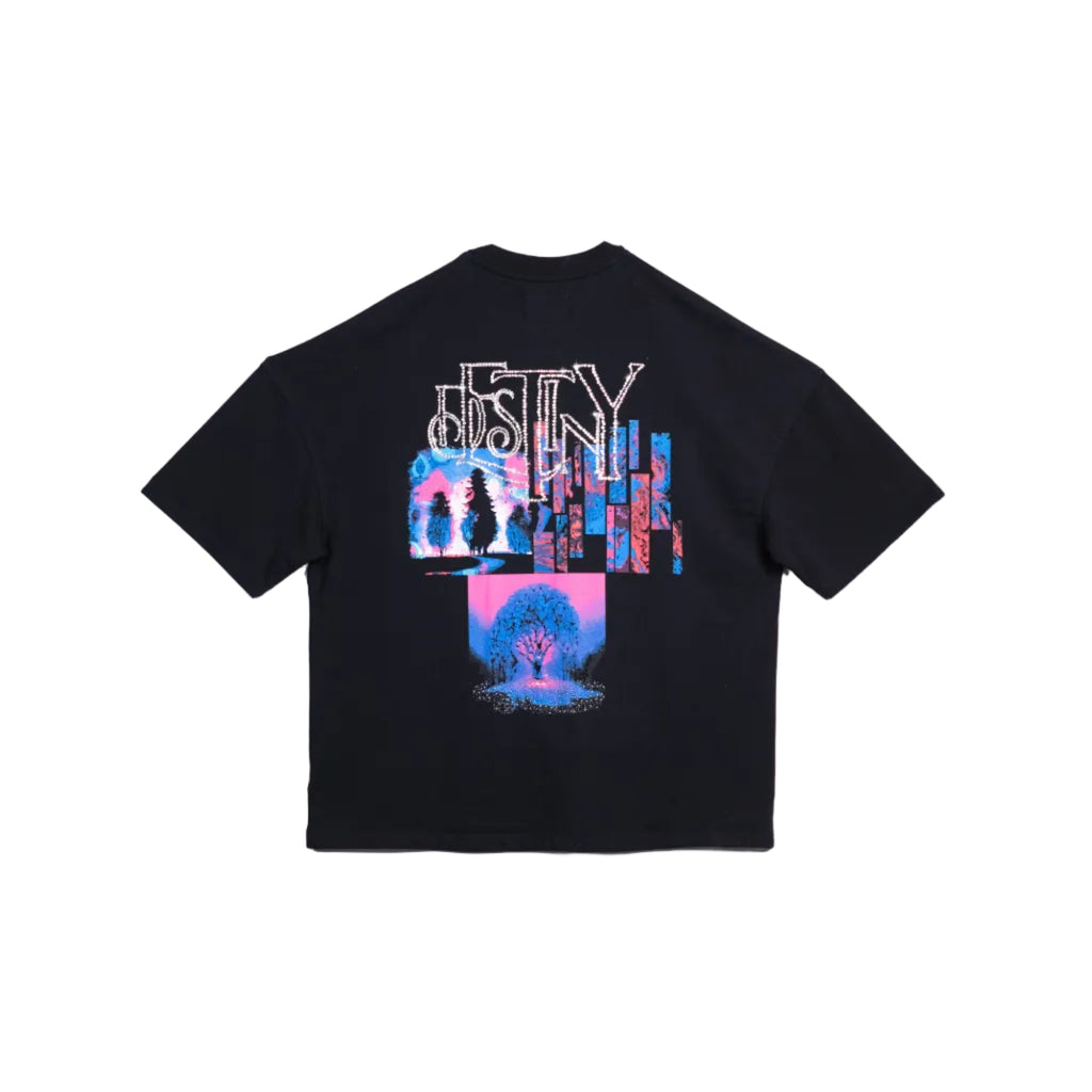 Destiny T-shirt