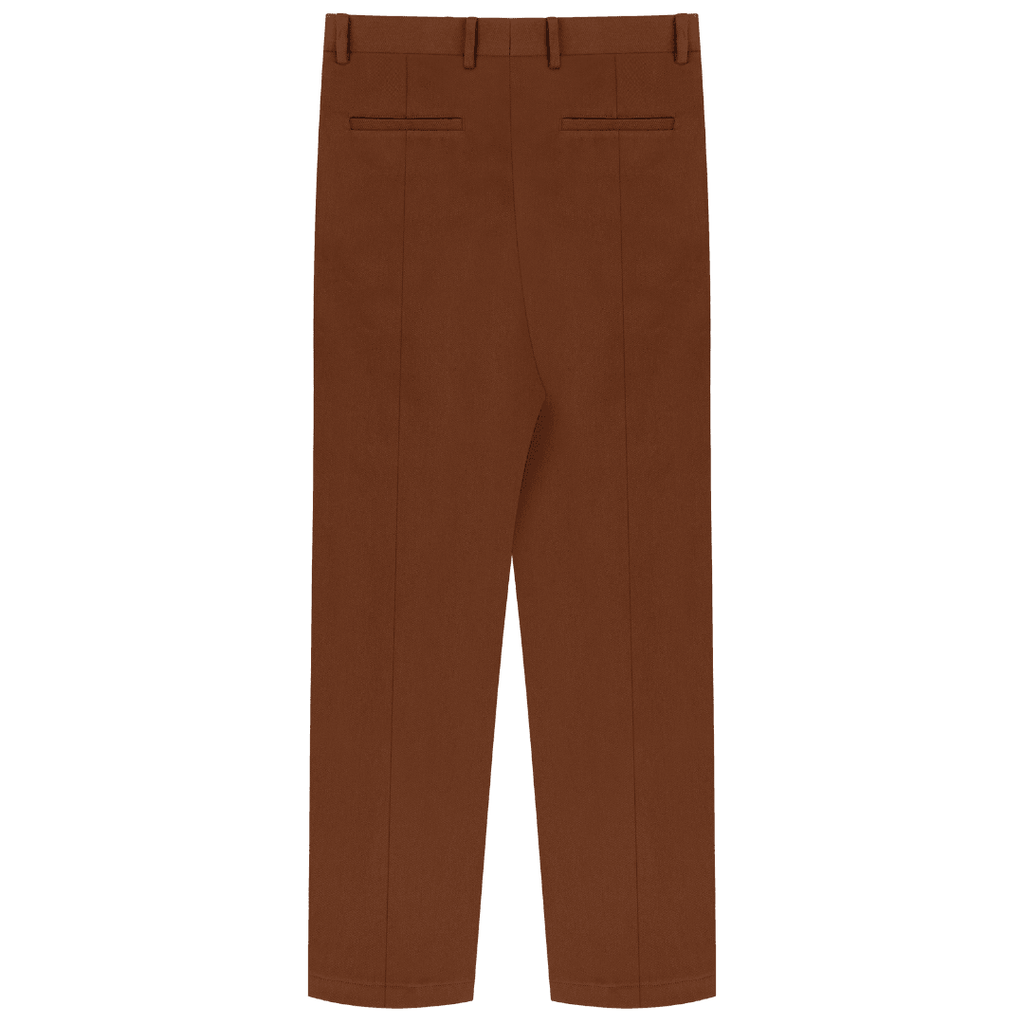 Double Pleated Trousers- Brown - ProjektStreet®
