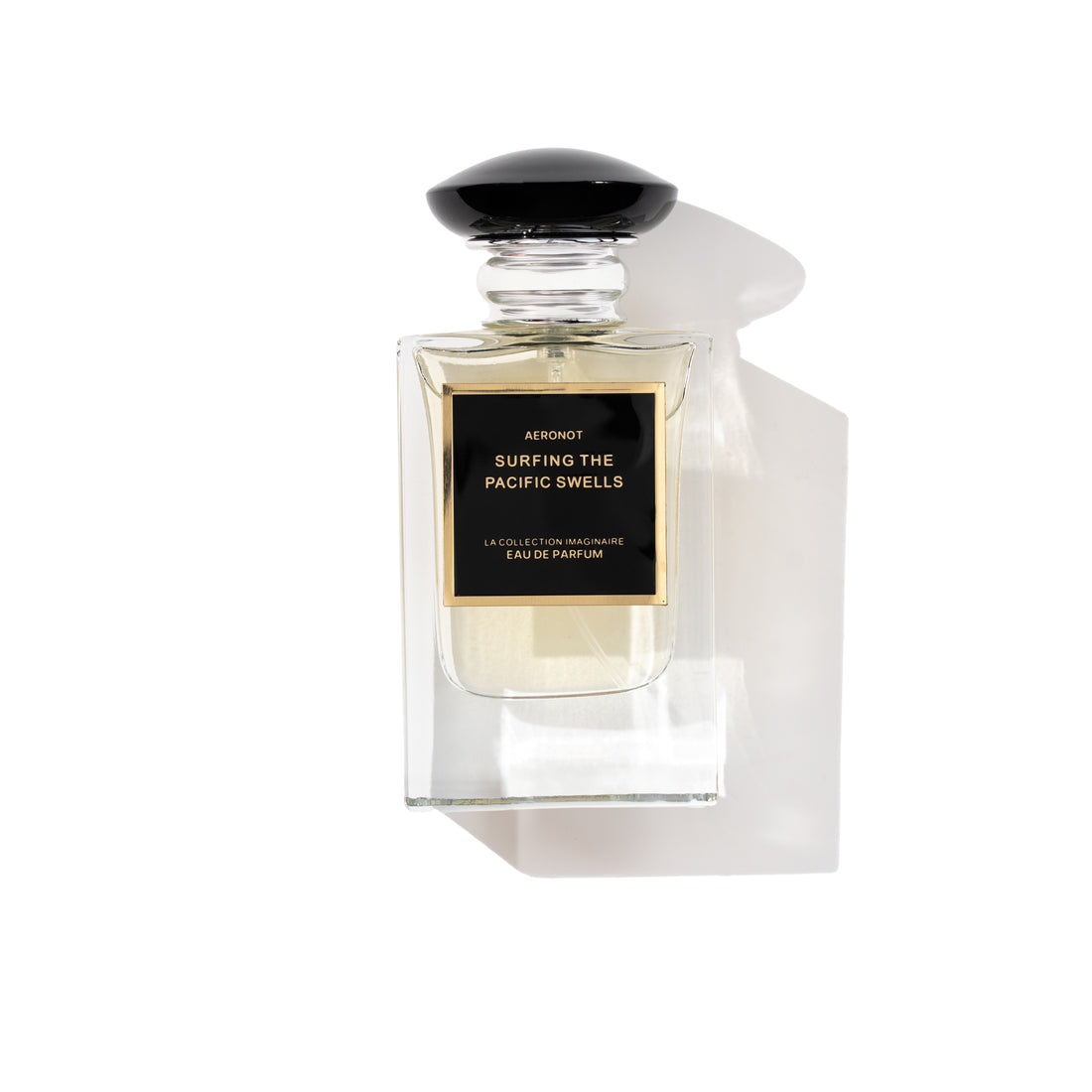 Surfing The Pacific Swells